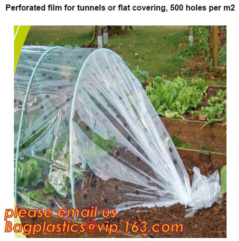 plastic tomatoes home garden polytunnel greenhouse film,Film Covering Tomato