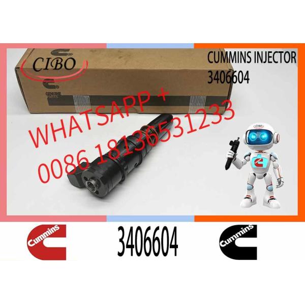 PT Fuel System Diesel Fuel Injector 3406604 For Cummins Construction Engine M11-C350 3