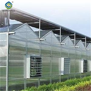 Custom Dutch Venlo Greenhouse Modern Farms Greenhouse With Intelligent Control