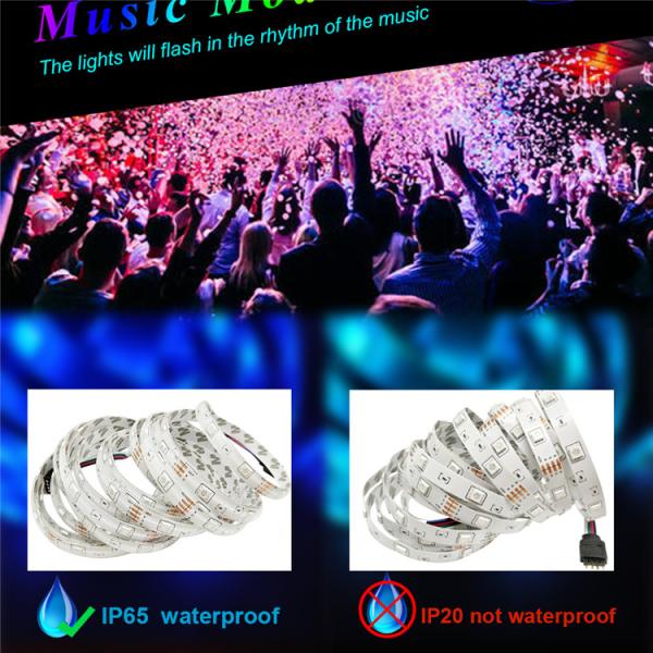 SMD 5050 IP65 Waterproof RGB Flexible Smart LED Light Strip 12V 5A Power Supply