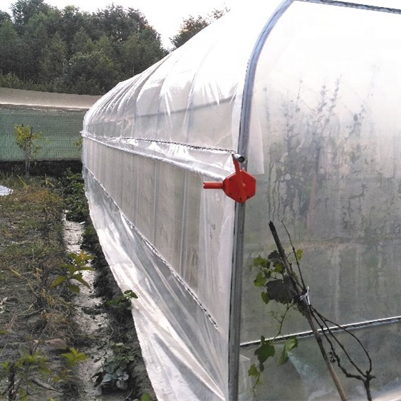 Vegetable Growing Plastic Film Greenhouse / Tunnel Single Span Greenhouse