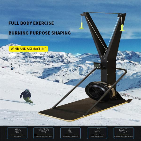 Befreeman Fitness Rower air Rower Exercise Equipment Ski Row Trainer Machine