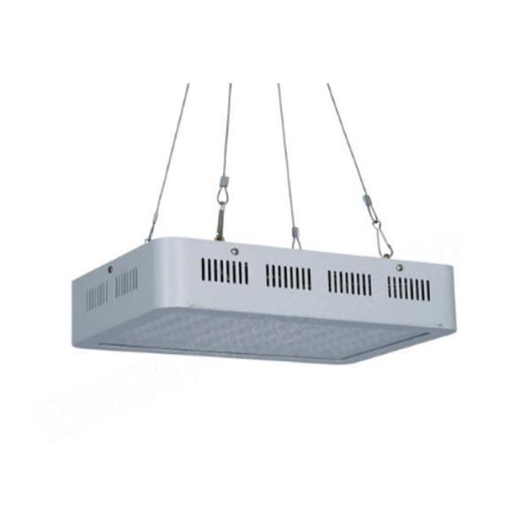 Buy Eco Friendly LED Grow Lights , Vegetable Bloom Switchable Grow Lights at wholesale prices
