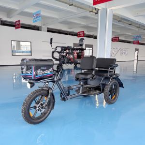 Smooth Riding Two Seater Electric Trike 70 kg With Off Road Tires
