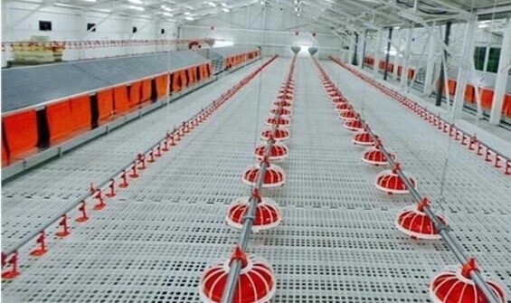PVC Broiler Breeder Farms Poultry Slat Flooring