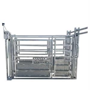 Welded 1.8m Height Powder Coating Cattle Handling Equipment Ranches