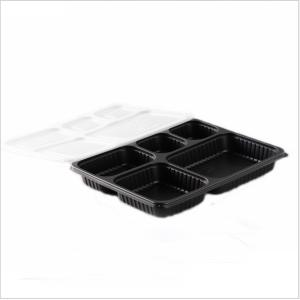 Disposable Thickened Plastic Takeaway Bento Box Container