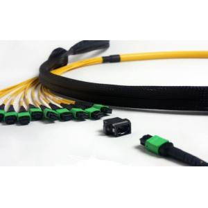 Single Mode 9 / 125 Fiber Optic Patch Cord Cable 12 Fiber Trunk MTP / MPO Pvc