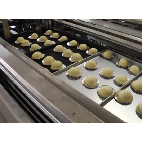 Automatic Bakery Equipments Gas Tunnel Oven For Cake Breads Burger Buns Pizza Production Line