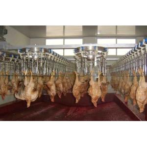 Customizable and Durable Poultry Processing Line with Stainless Steel 304