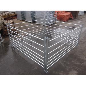 Australia standard galvanized cattle panel fence Cattle Crush,Cattle Chute