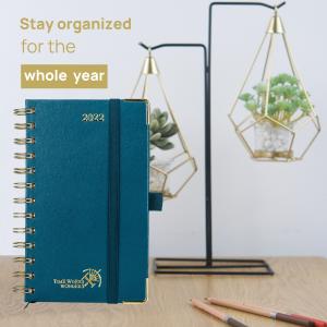 4.13''X6.75'' Medium Academic Planner 2023 Spiral In Pacific Green