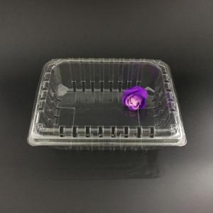 PET Recyclable Clamshell Packaging Box Plastic ISO9001