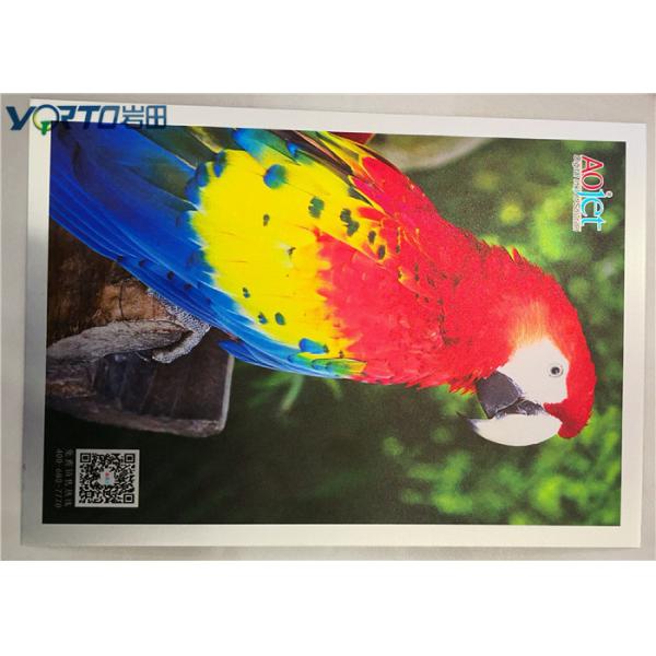 Buy Brushed Surface Sublimation Aluminum Sheets , Sublimation Metal Blanks at wholesale prices