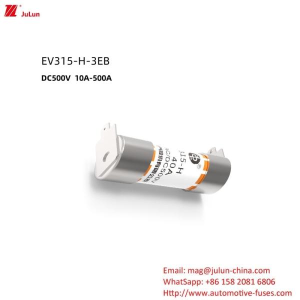 Buy 20KA Breaking Capacity Car Fuse Bolt Screw Type Fuses at wholesale prices