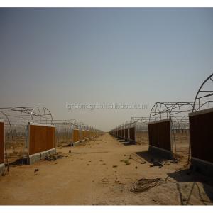 Hot Climate Tomato Plant Greenhouse 150 Micron Plastic Film Cover