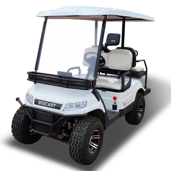 Buy White LED Termite Golf Cart Buggies 3.5KW Motor Color Customization at wholesale prices