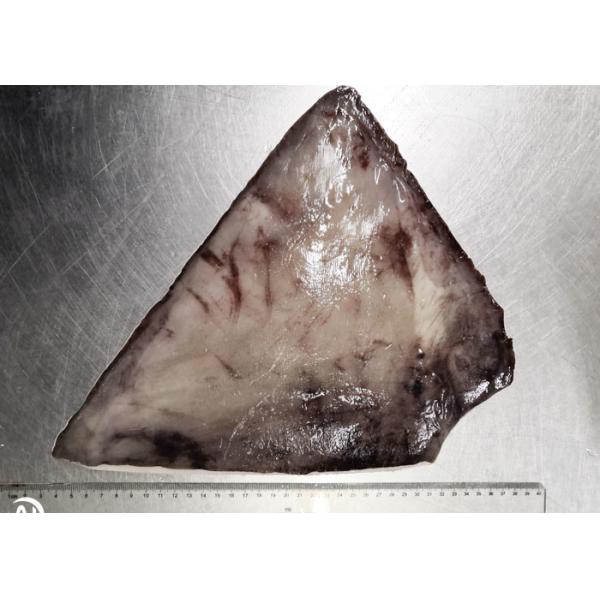 Block Frozen Giant Squid Fin Cartilage Off Bqf Size 300g - 500g Size
