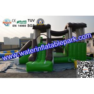 Quality Indoor and Outdoor Inflatable Bouncy Castle with Slide for sale