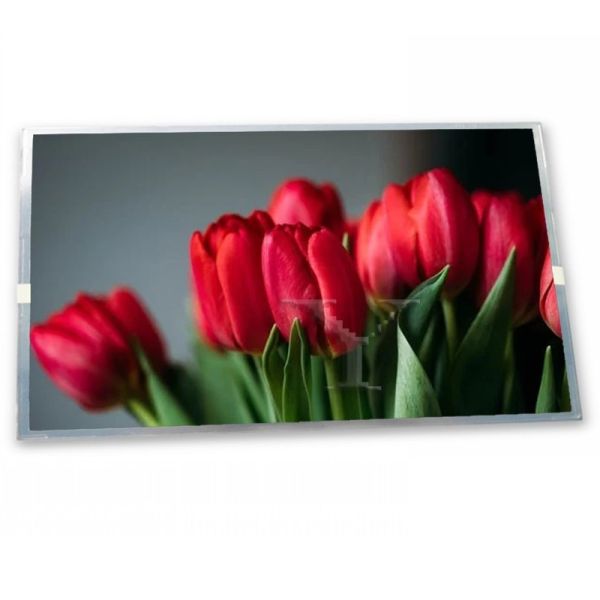 High Quality ODM 5.1-Inch WLED LCD Display Module LMG7420PLFC-X with 240*128