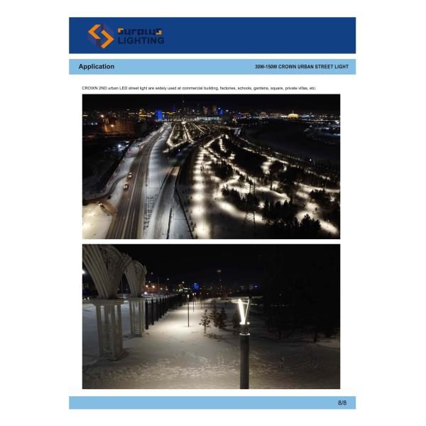 TUV CB ENEC SAA SABER CE RoHS Approved 100W CROWN LED Street Garden Light Urban Lighting IP66 Waterproof Outdoor