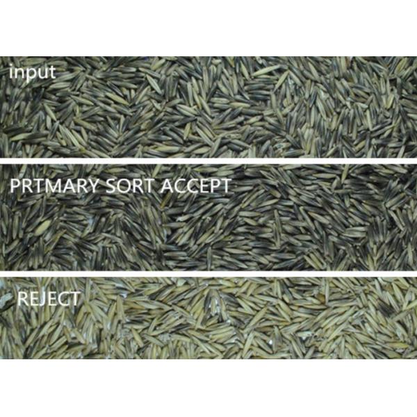 Intelligent Optical CCD Camera Barley Wheat Color Sorting Machine