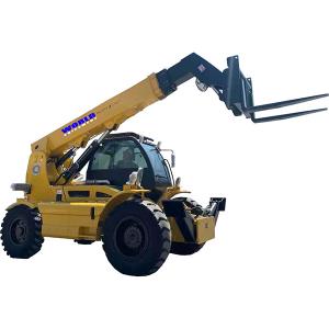 Safety Efficiency 2500kg Forklift With Extendable Boom Energy Saving