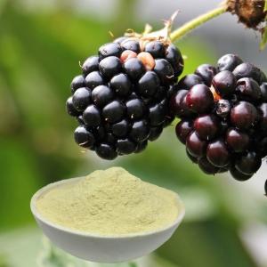 Enzymolysis Ph 4-6 Amino Acid Foliar Fertilizer Water Soluble Fertilizer Organic