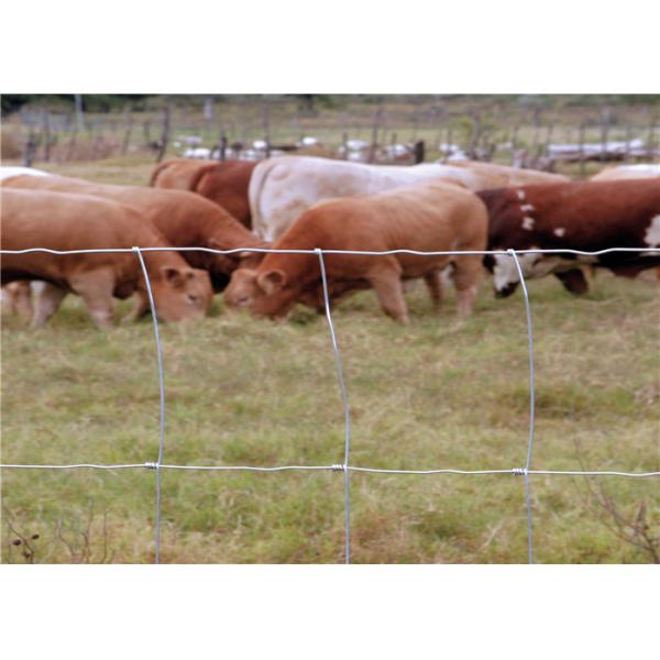 Buy Galvanized High Tensile Livestock Wire Cattle Fencing 50m 100m Length at wholesale prices