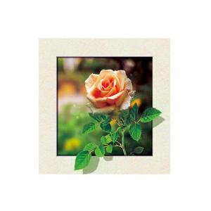 Eco Friendly Plastice 3D Lenticular Printing Service Picture Nature Landscape