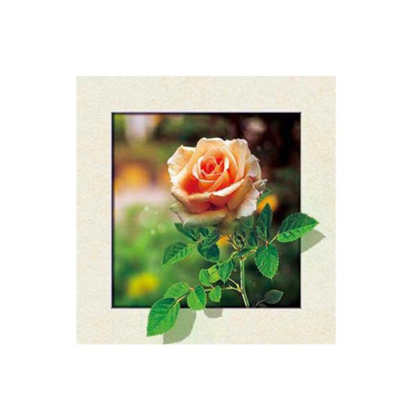 Buy Eco Friendly Plastice 3D Lenticular Printing Service Picture Nature Landscape at wholesale prices