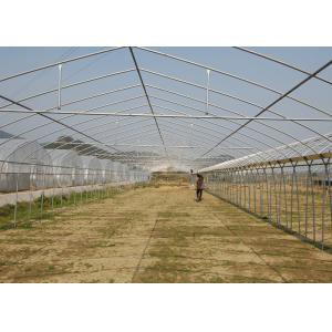 Smart Strawberry Plastic Outdoor Greenhouse Large Commercial Greenhouse
