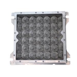 PC Plastic / Aluminum Egg Tray Mould with CAD computerized sysytem