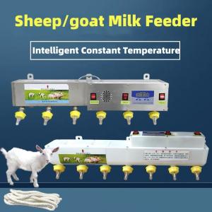 Plastic Livestock Feeding Equipment For Milk Water Medicine Feed
