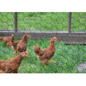 Quality Length 10-50m Chicken Coop Wire Mesh With Zinc Coating 20g/M2-60g/M2 for sale