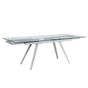 Modern dining room Rectangular Shape Glass Top SS Dining Tables