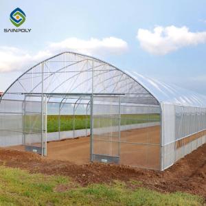 0.5KN/M2 Clear Polythene 4m Single Tunnel Greenhouse
