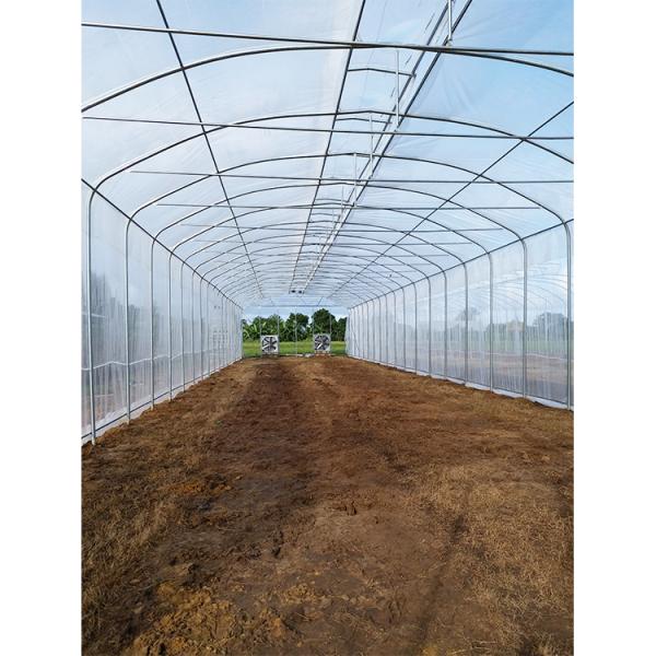 IGreen Length Strawberry Tropical Greenhouse 150/200micron Plastic Film Covering Material
