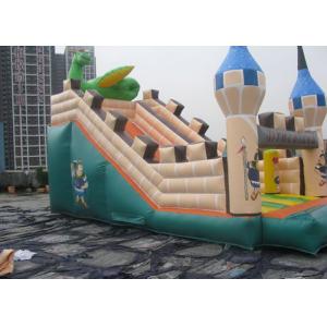 Cartoon Playground Giant Inflatable Slide Double Tripple Stitch