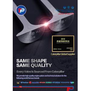 T4233393 Intake And Exhaust Valves