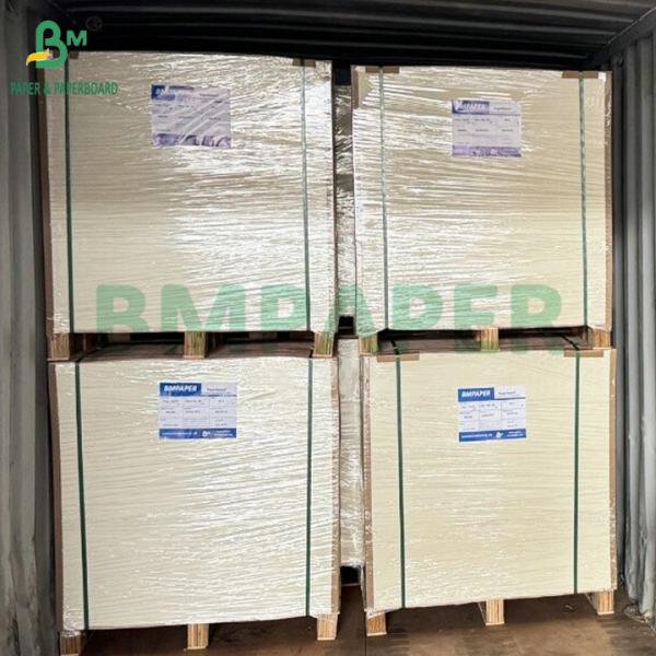 C1S 275gsm + 15gsm PE Frozen Cardboard For Shrimp/Fish Packaging Box