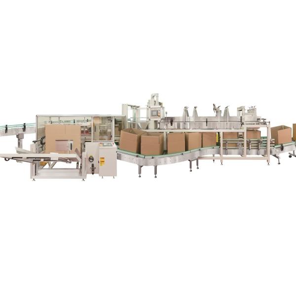 High Speed Chemical Packaging Machine Auto Carton Packing Machine 8-16 Cartons / Minute