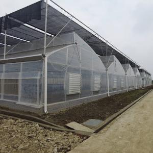 Durable Aluminum Alloy Skeleton Tropical Poly Tunnel Film Sawtooth Greenhouse