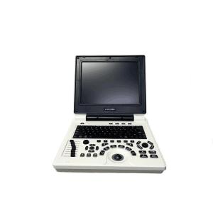 Doppler Ultrasound In Pregnancy Home Doppler Ultrasound Probe Frequency 12MHz