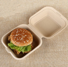 Customized Size Logo Biodegradable Sugarcane Syrup Burger Box