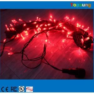 garden decorate 100leds AC christmas led string light