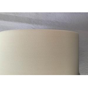 Plain Weave 09502 Polyester Mesh Belt For Garlic Drying