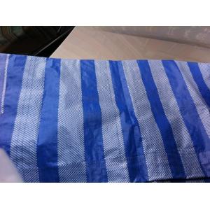 Quality the most popular pe tarpaulin sheet bule white strip for sale
