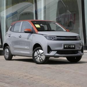 Left Steering 2022 2023 Yema Letin Mango Mini Electric Car for 4 Seats Energy