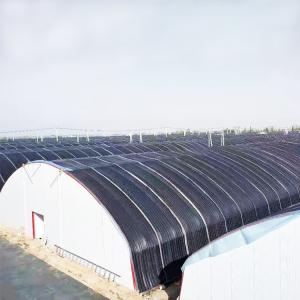 10m*100m Hydroponic Light Deprivation Greenhouse For Hemp Growing
